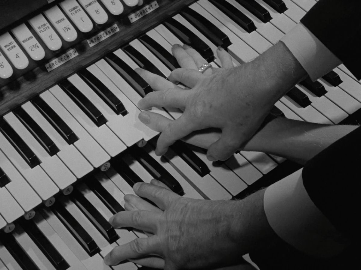 Todos los ganadores del Festival Internacional de Cine Independiente de La Plata FestiFreak 2024