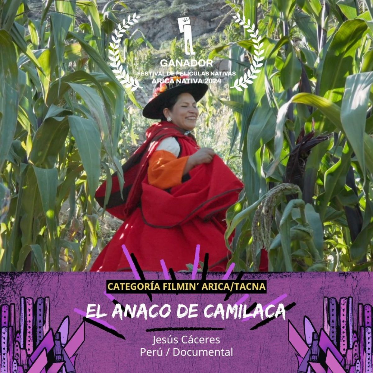 Todas las películas ganadoras del 19 Festival de Películas Arica Nativa 2024