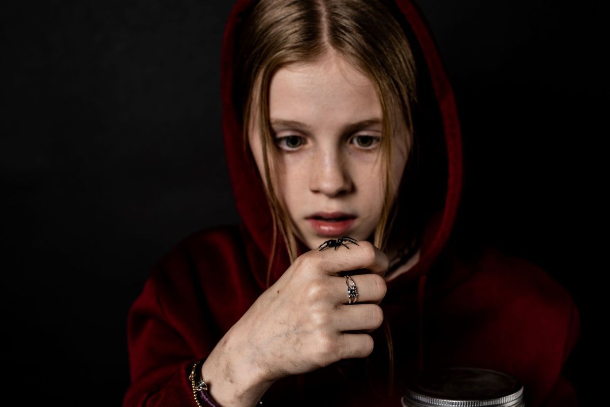 Crítica de "Sting: Araña asesina": Un festín para los amantes del terror retro