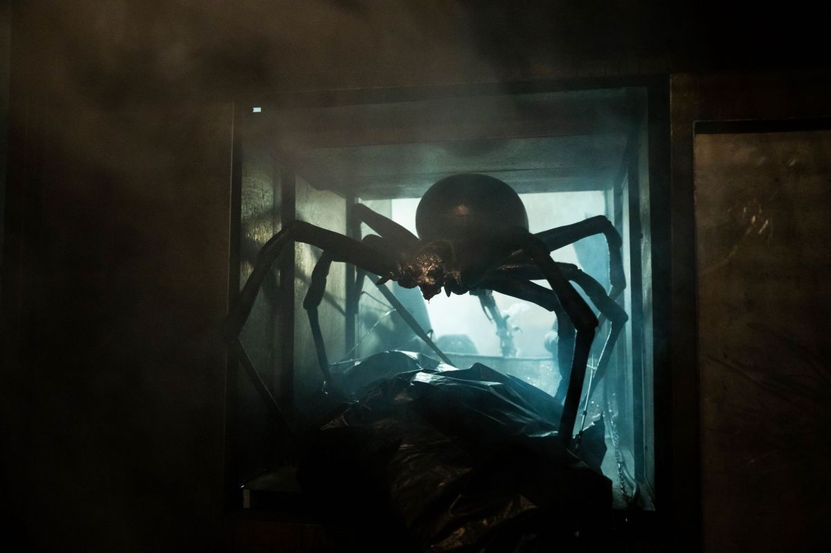 Crítica de "Sting: Araña asesina": Un festín para los amantes del terror retro