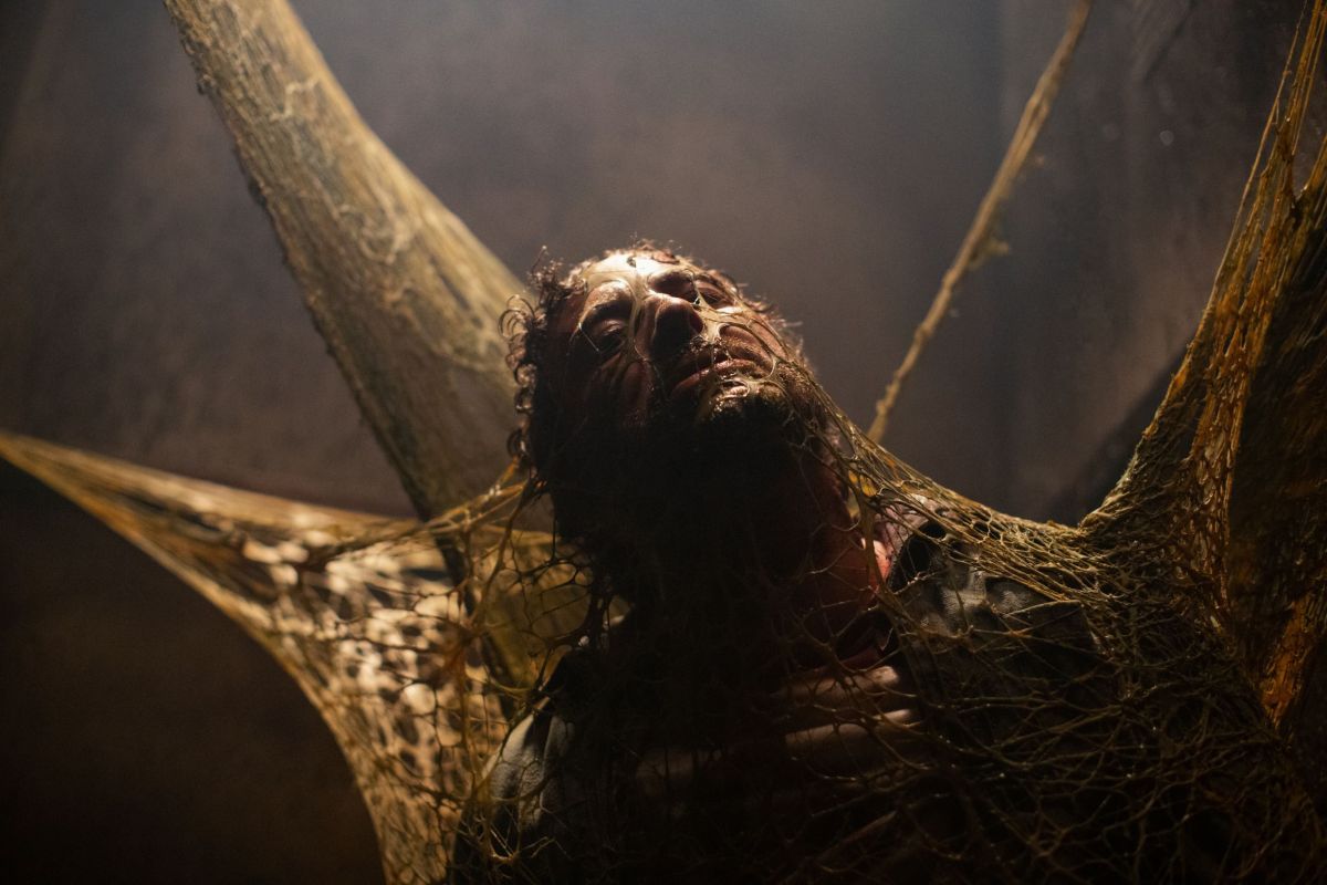 Crítica de "Sting: Araña asesina": Un festín para los amantes del terror retro