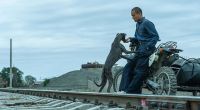 Crítica de “Black Dog”: La conexión entre un hombre y un perro en una ciudad al borde del colapso