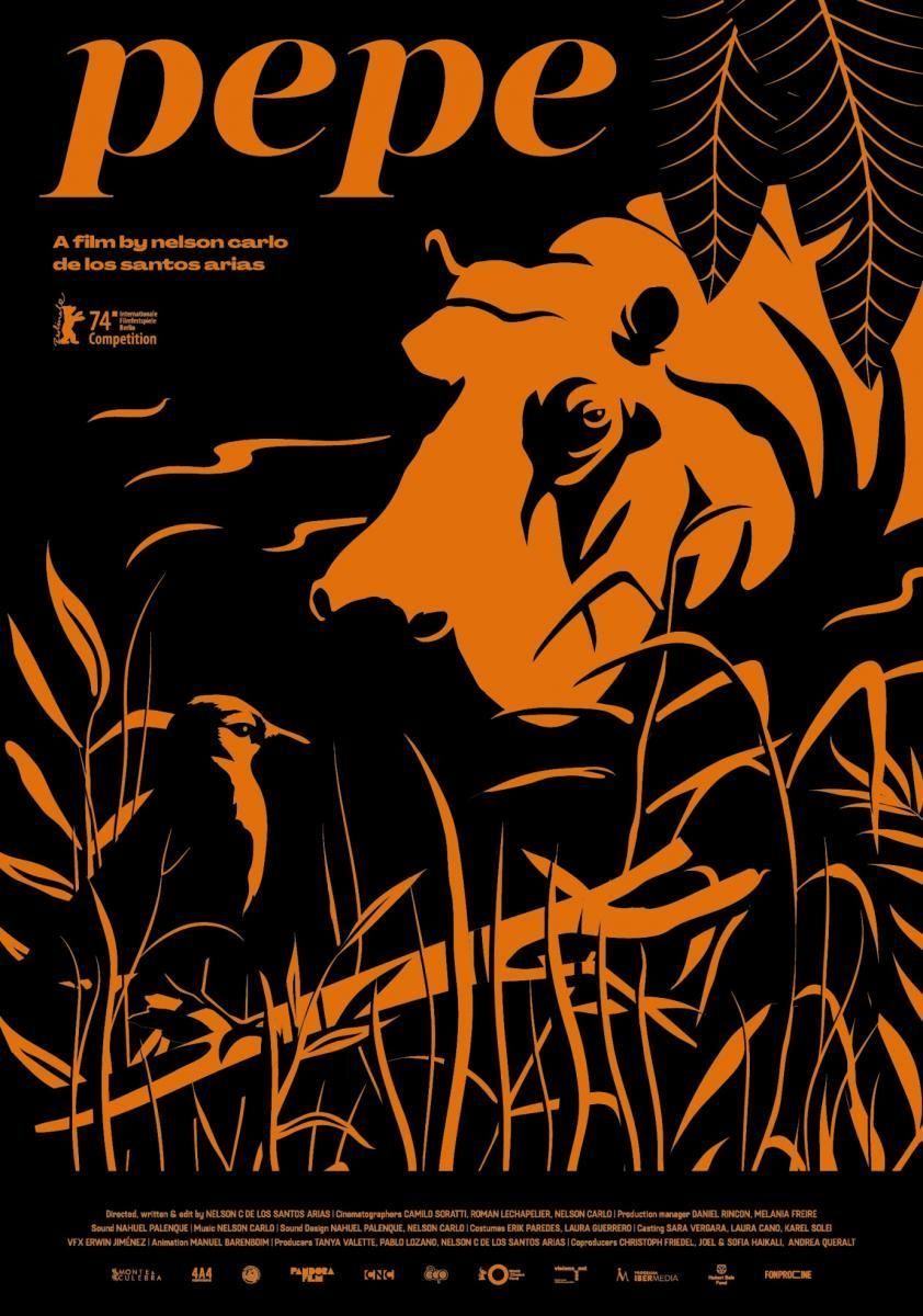 Crítica de "Pepe": Nelson Carlo de los Santos Arias y un soporífero ejercicio de ombliguismo autoral