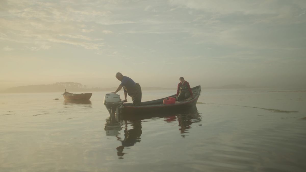 Toda la programación del  José Ignacio International Film Festival (JIIFF) 2025