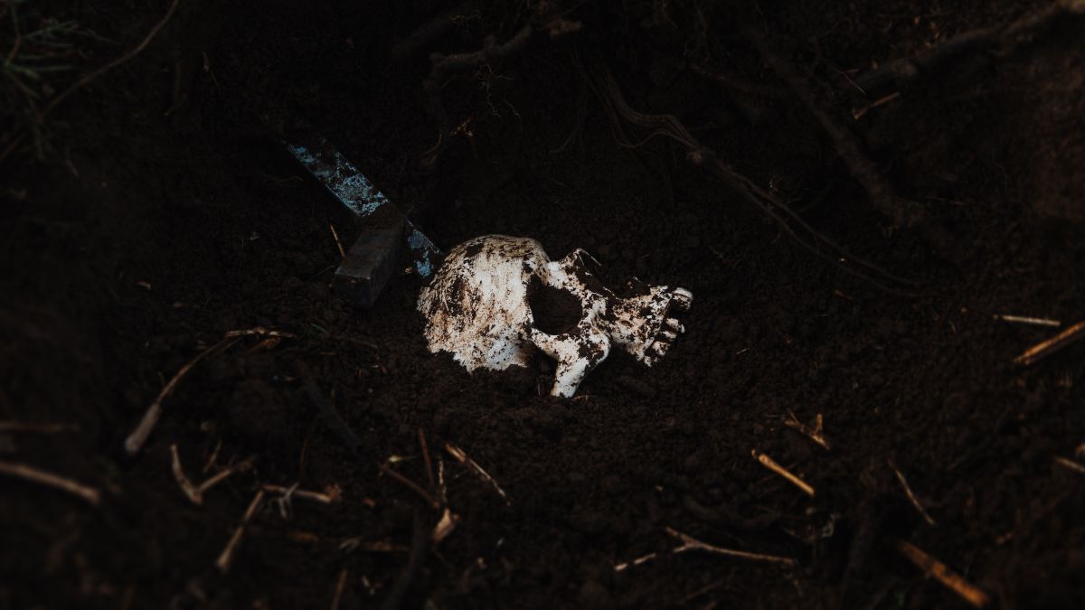 Crítica de "Crucifijo, la sangre del exorcista": El misterio del pasado religioso