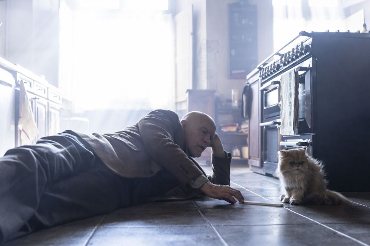 Crítica de "Mr. Blake a sus órdenes": Una entrañable comedia francesa con John Malkovich y Fanny Ardant