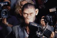 Todos los ganadores de los AACTA International Awards 2025