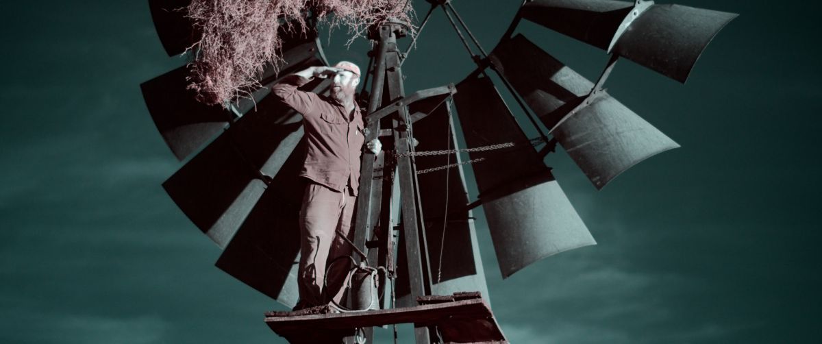 Crítica de "El crepúsculo de las especies": Una visión cinematográfica del colapso ecológico