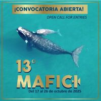 Convocatoria abierta para la 13° edición de MAFICI 2025