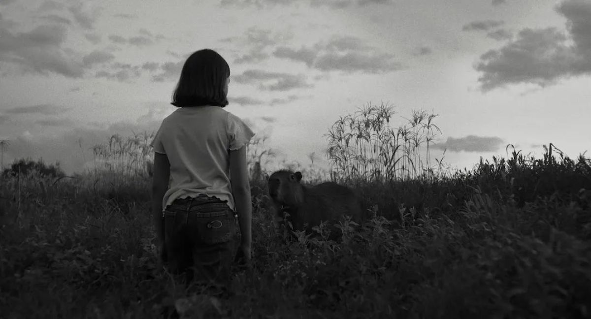 Cosquín vuelve a ser capital del cine independiente con una nueva edición del FICIC 2025