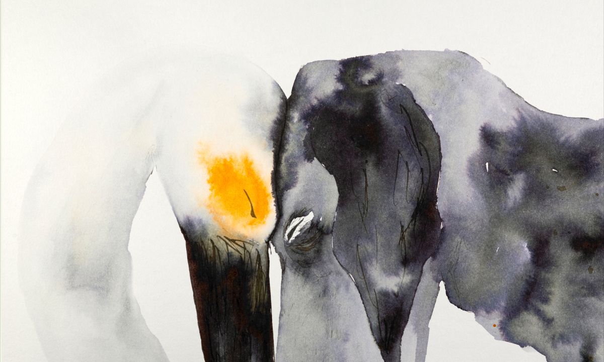 Todos los ganadores del FIDiG Cine 2025