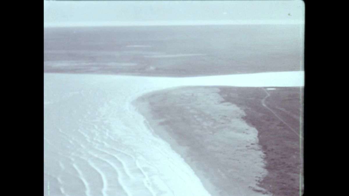 Crítica de “Viento del este”: El legado de una herencia entre Palestina y el Río de La Plata