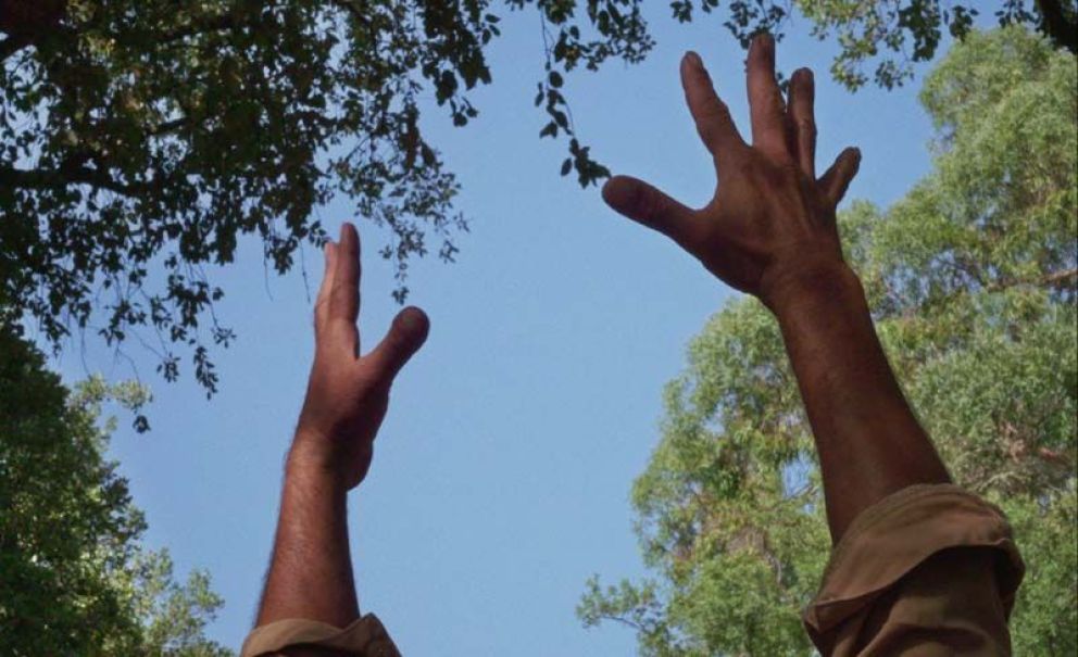 Toda la programación de la 12ª Semana de Cine Portugués en Buenos Aires