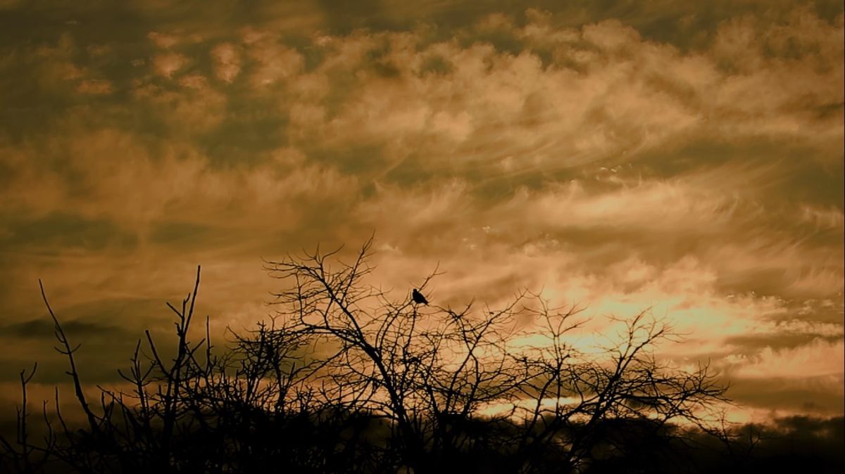 Crítica de "Los ríos": Gustavo Fontán y la materia de lo invisible