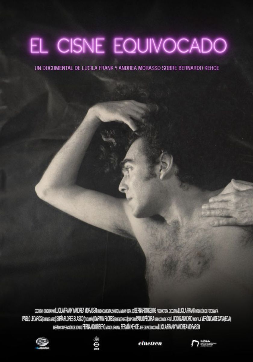 Crítica de "El cisne equivocado": Bernardo Kehoe y el arte de reinventarse tras la exclusión