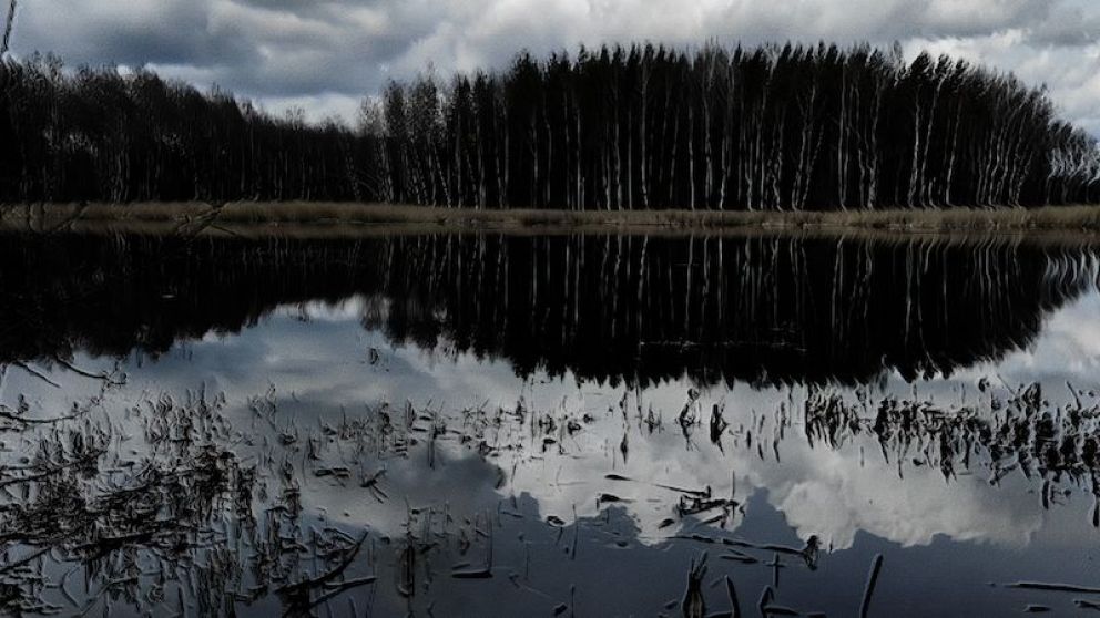 Crítica de “Ecos de Xinjiang”: Pablo Martín Weber y la ciencia ficción como resistencia