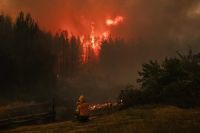 Convocatoria abierta para el Festival Audiovisual Terrícola 2025 en El Bolsón