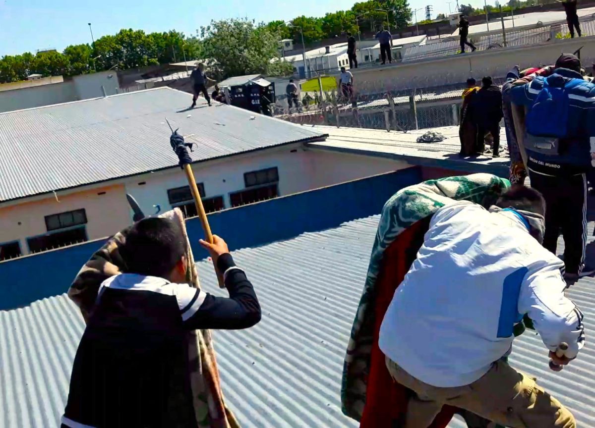 Toda la programación de la primera muestra "Cine y Educación Imágenes potentes, debates urgentes"