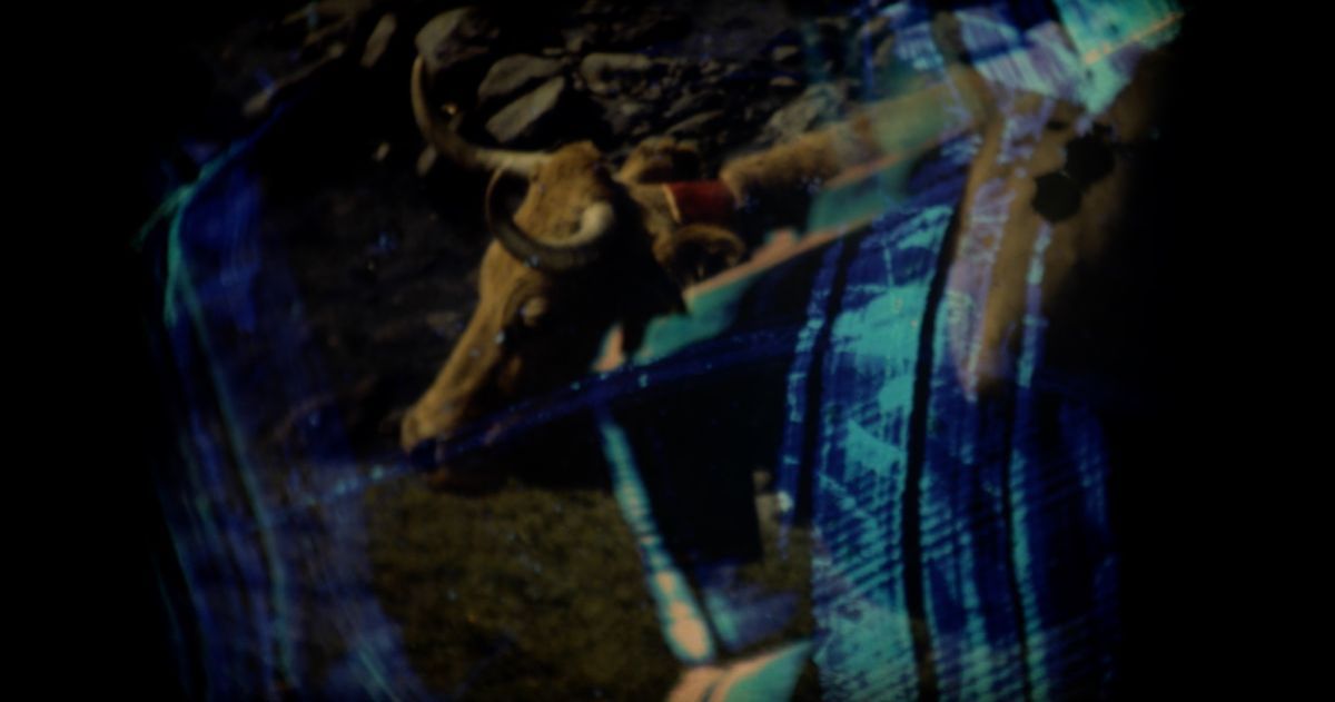 Crítica de "Erreplika": Un viaje por la memoria familiar y el cine documental de Juan Miguel Gutiérrez