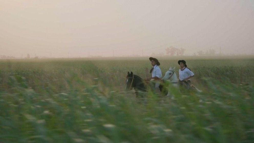 Crítica de "La zorra y la pampa": cine a tracción humana entre el mito, el óxido y la urgencia