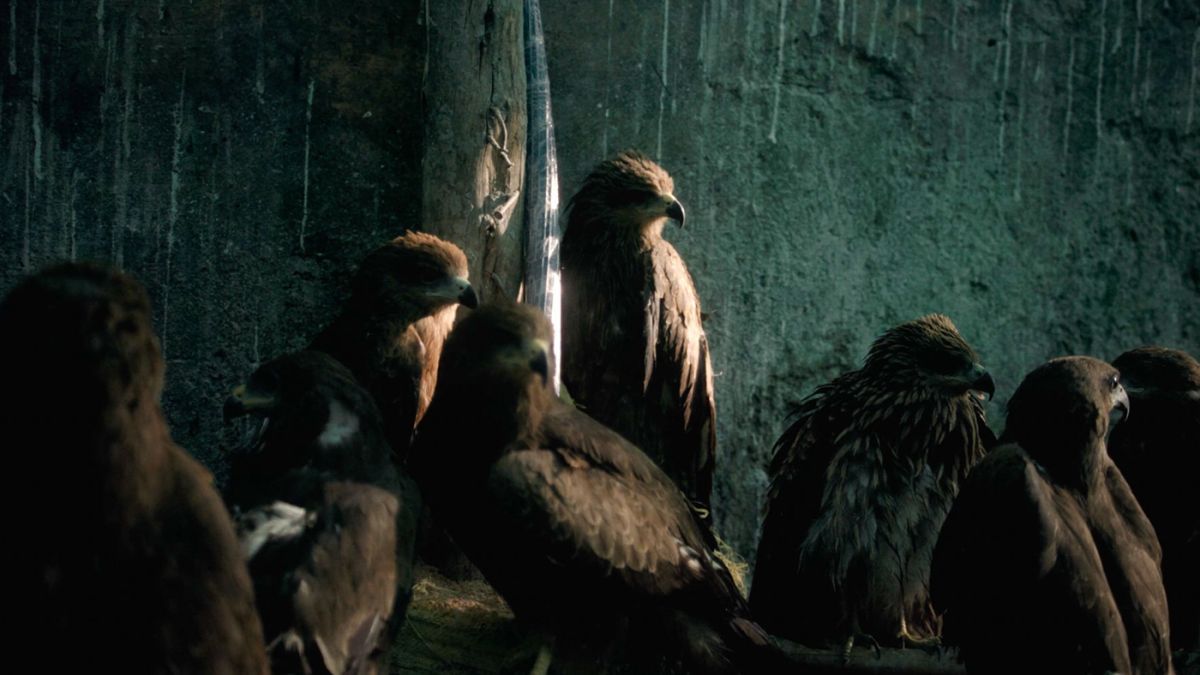 Toda la competencia del Festival Internacional de Cine de Derechos Humanos 2025