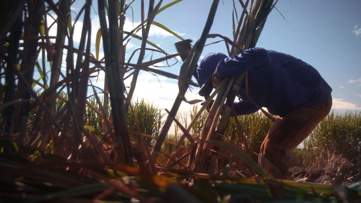 Toda la competencia del Festival Internacional de Cine de Derechos Humanos 2025