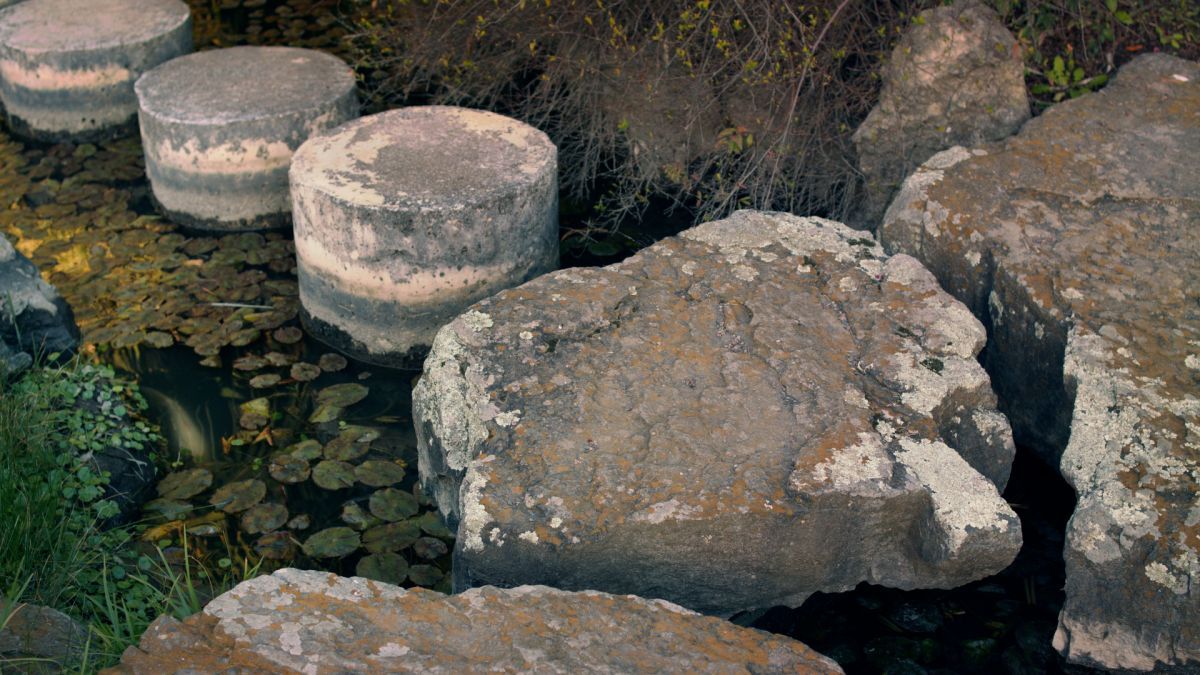 Crítica de "El amo del jardín": la huella japonesa de Yasuo Inomata en Argentina