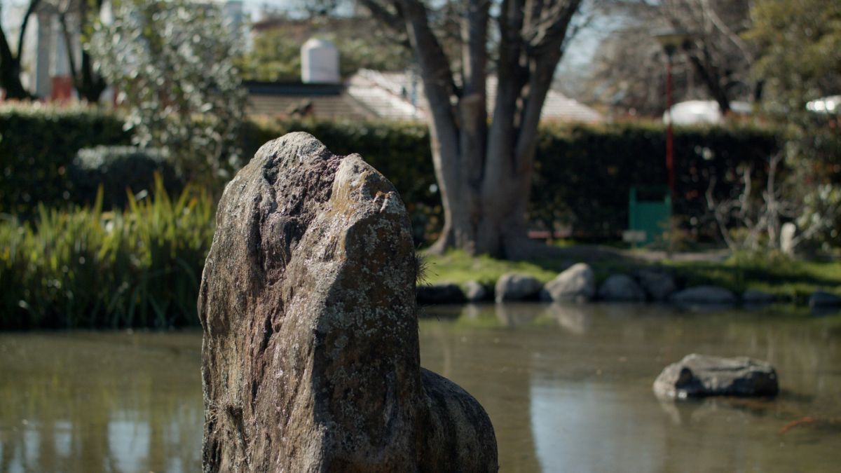 Crítica de "El amo del jardín": la huella japonesa de Yasuo Inomata en Argentina