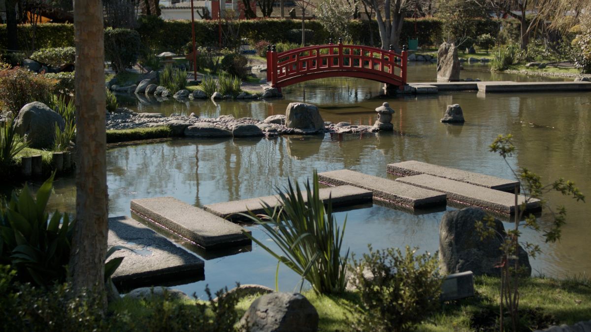 Crítica de "El amo del jardín": la huella japonesa de Yasuo Inomata en Argentina