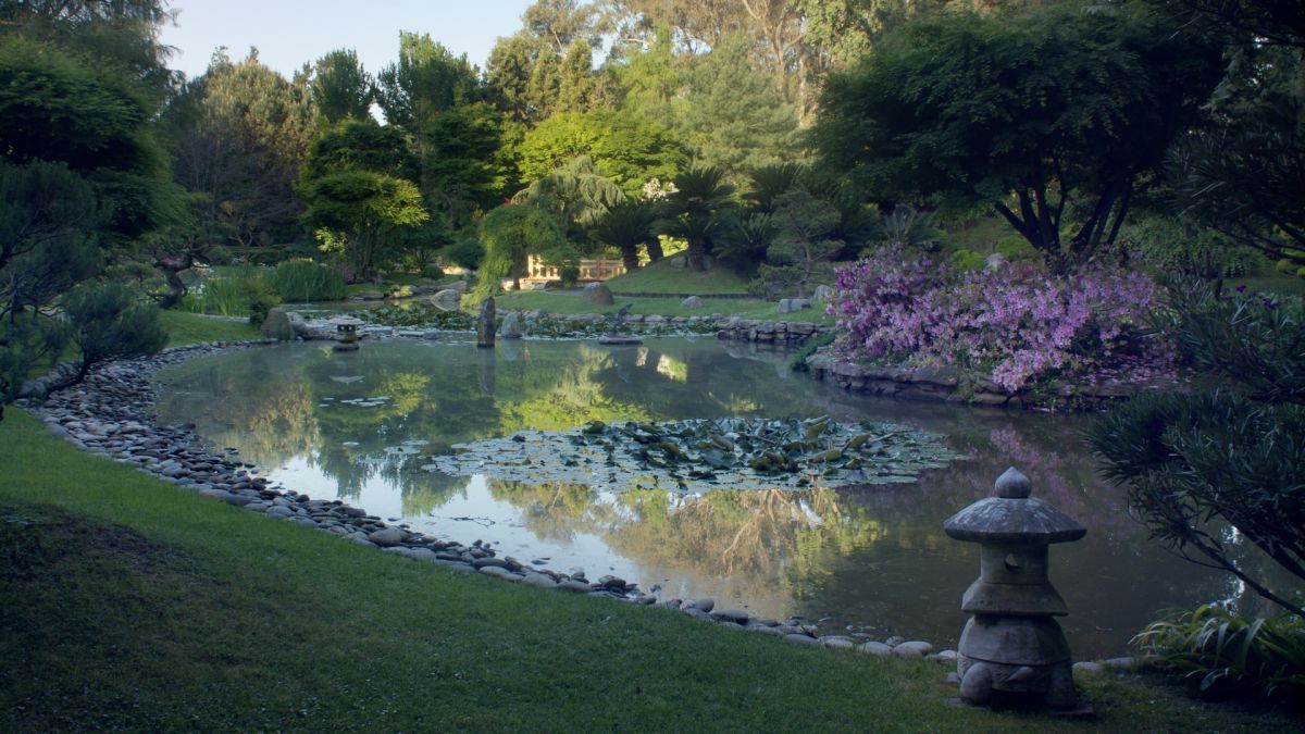 Crítica de "El amo del jardín": la huella japonesa de Yasuo Inomata en Argentina