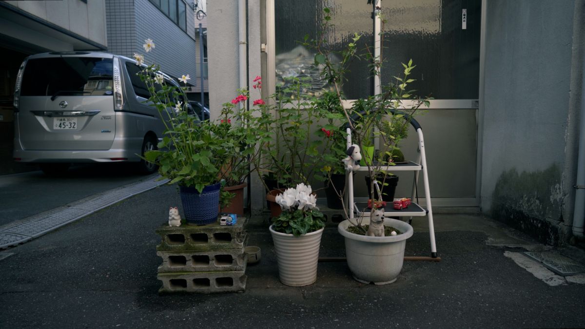 Crítica de "El amo del jardín": la huella japonesa de Yasuo Inomata en Argentina