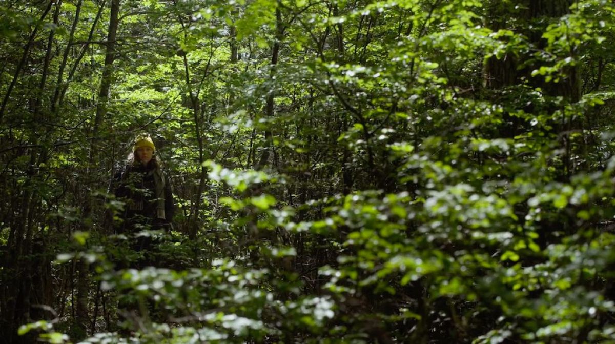 María Alché se pregunta qué sucede “Cuando las nubes esconden la sombra”