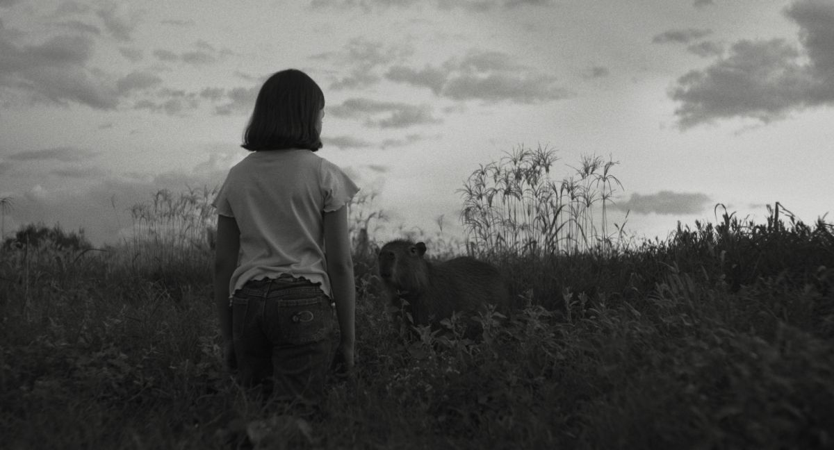 Crítica de "El mensaje": Iván Fund y una travesía narrativa de vínculos en movimiento