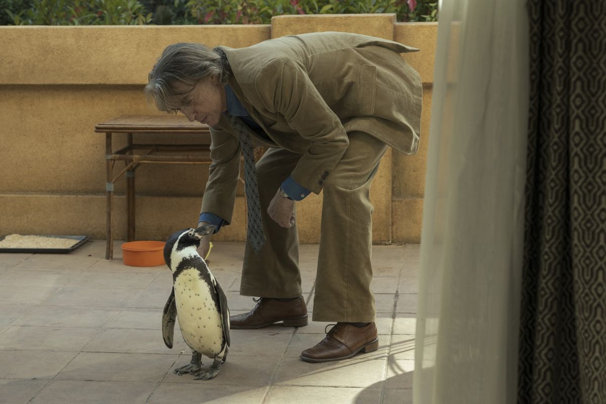 Crítica de “Lecciones de un pingüino”: La metáfora del pingüino en plena dictadura argentina
