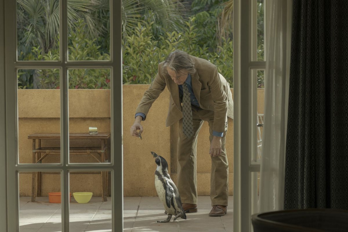 Crítica de “Lecciones de un pingüino”: La metáfora del pingüino en plena dictadura argentina