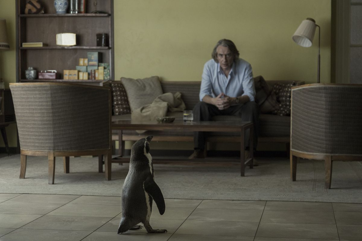 Crítica de “Lecciones de un pingüino”: La metáfora del pingüino en plena dictadura argentina