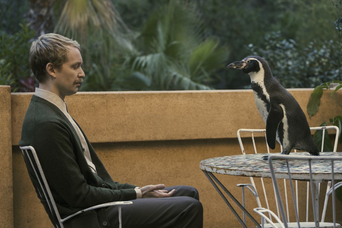 Crítica de “Lecciones de un pingüino”: La metáfora del pingüino en plena dictadura argentina