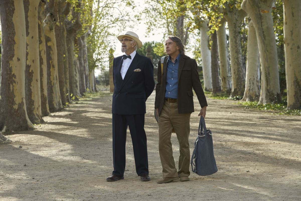 Crítica de “Lecciones de un pingüino”: La metáfora del pingüino en plena dictadura argentina