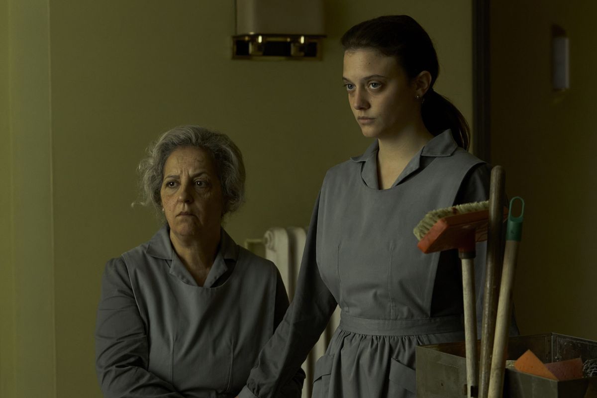 Crítica de “Lecciones de un pingüino”: La metáfora del pingüino en plena dictadura argentina