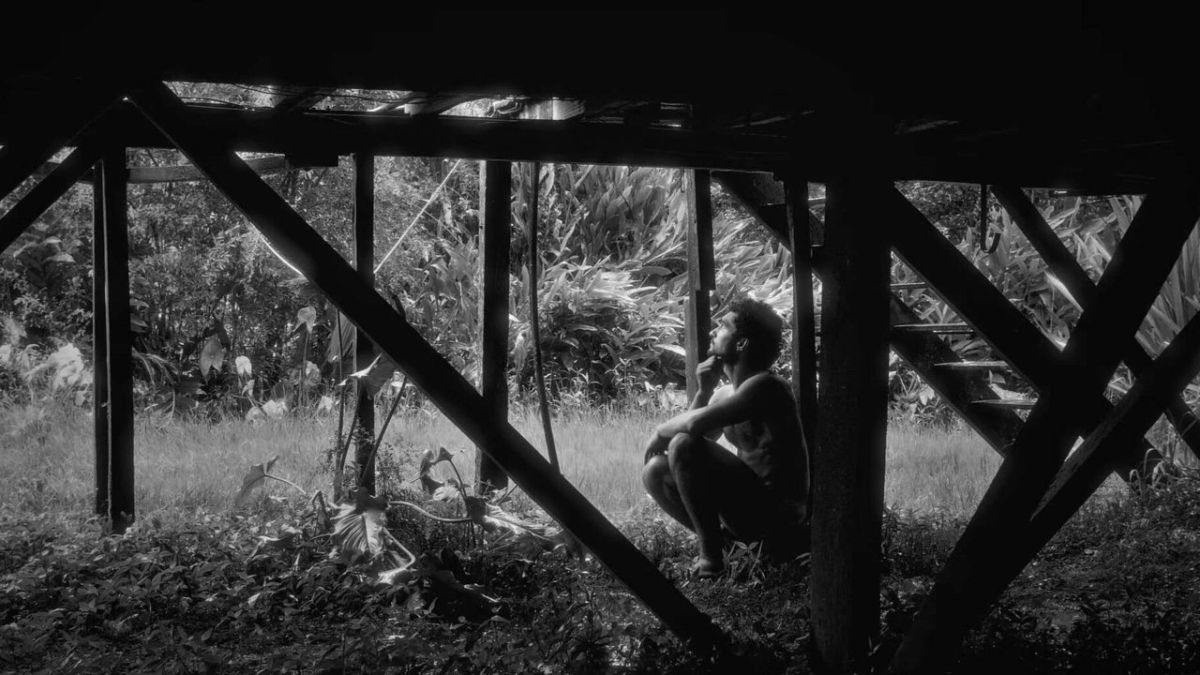 Crítica de "Perro perro": Marco Berger entre el deseo, la especie y el cuerpo como fábula absurda