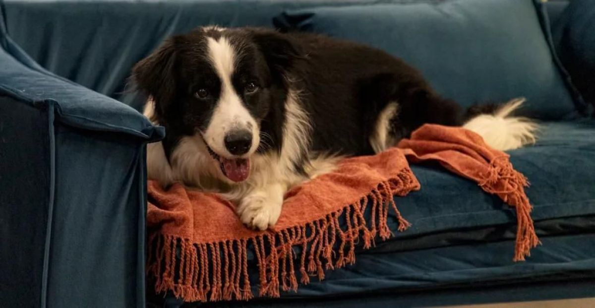 Crítica de "Enloqueciendo contigo" o cómo amar sin perder el sentido del humor