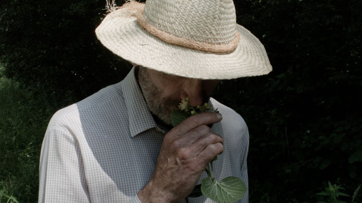 Toda la programación de la 25° edición del DocBuenosAires 2025