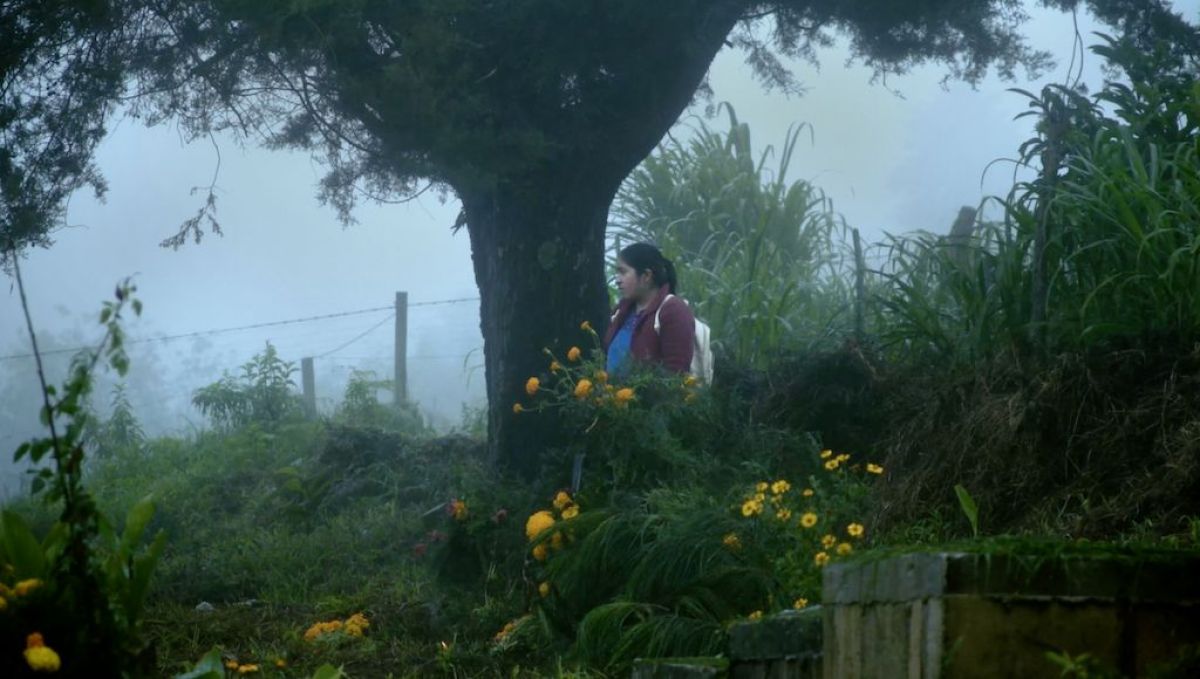 Crítica de “Hijas del maíz”: parir en comunidad como forma de sanación colectiva