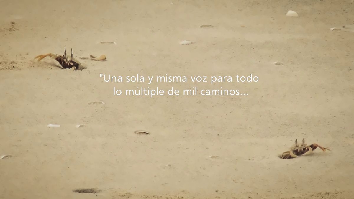 Crítica de "Congresos, fracaso de una tesis": Ensayo, cuerpo y resistencia