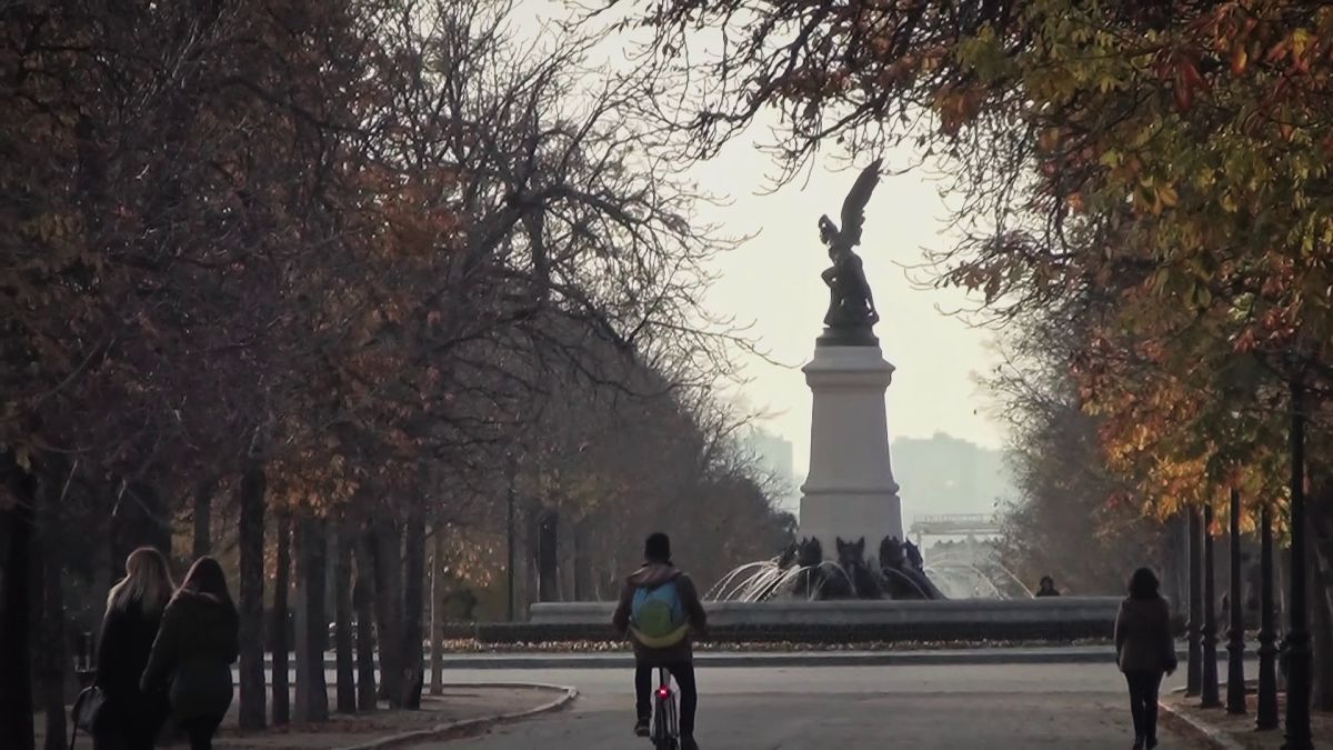 Crítica de "Congresos, fracaso de una tesis": Ensayo, cuerpo y resistencia