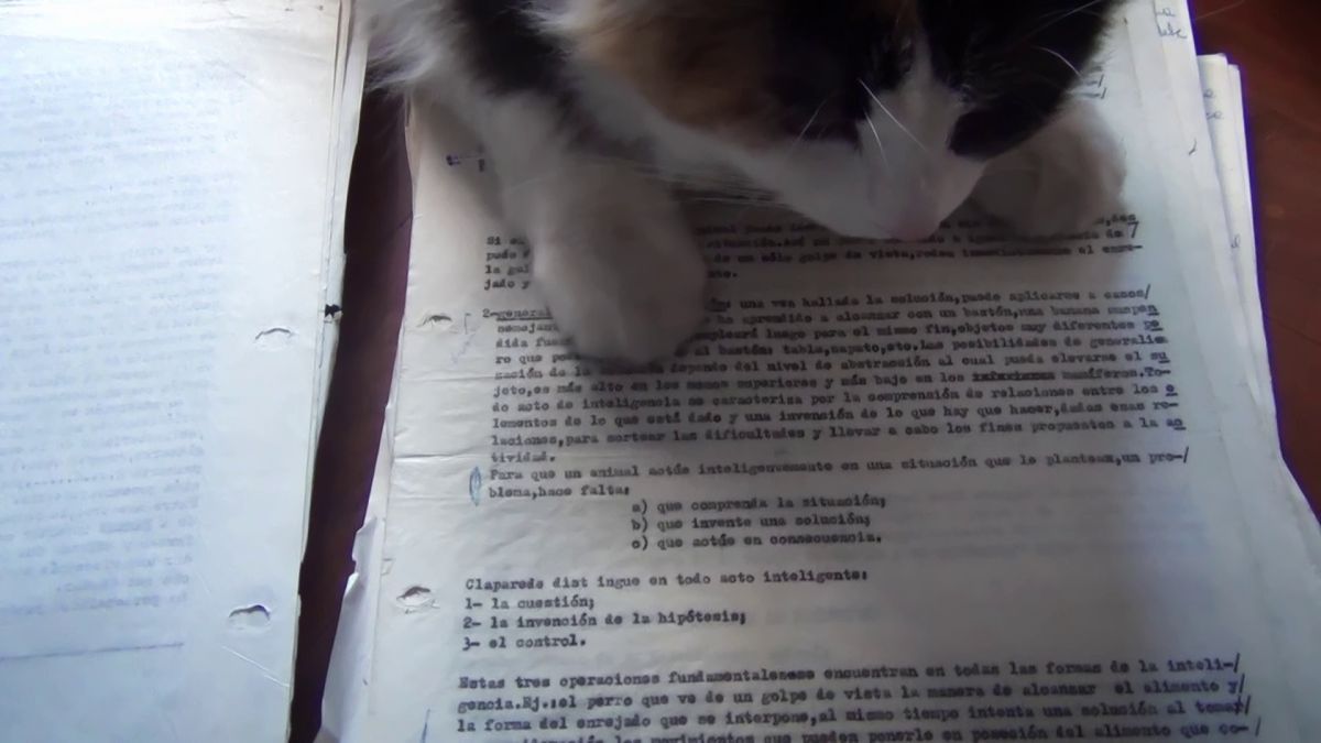 Crítica de "Congresos, fracaso de una tesis": Ensayo, cuerpo y resistencia