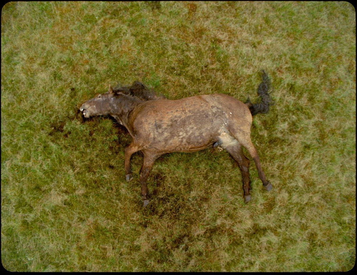 Crítica de “Godland”: Un viaje entre la fotografía, la naturaleza y el choque cultural