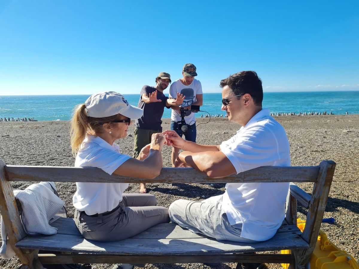 "El señor de los pingüinos": estreno en el Cine Gaumont del documental de Damián Martínez sobre conservación y ciencia