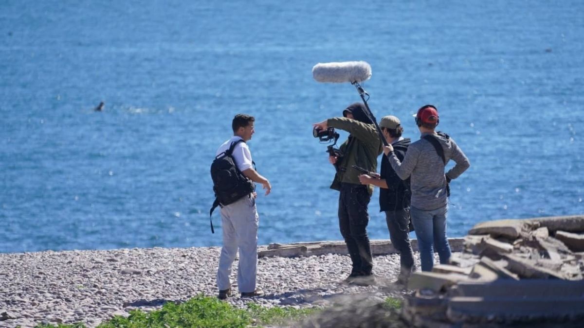 "El señor de los pingüinos": estreno en el Cine Gaumont del documental de Damián Martínez sobre conservación y ciencia