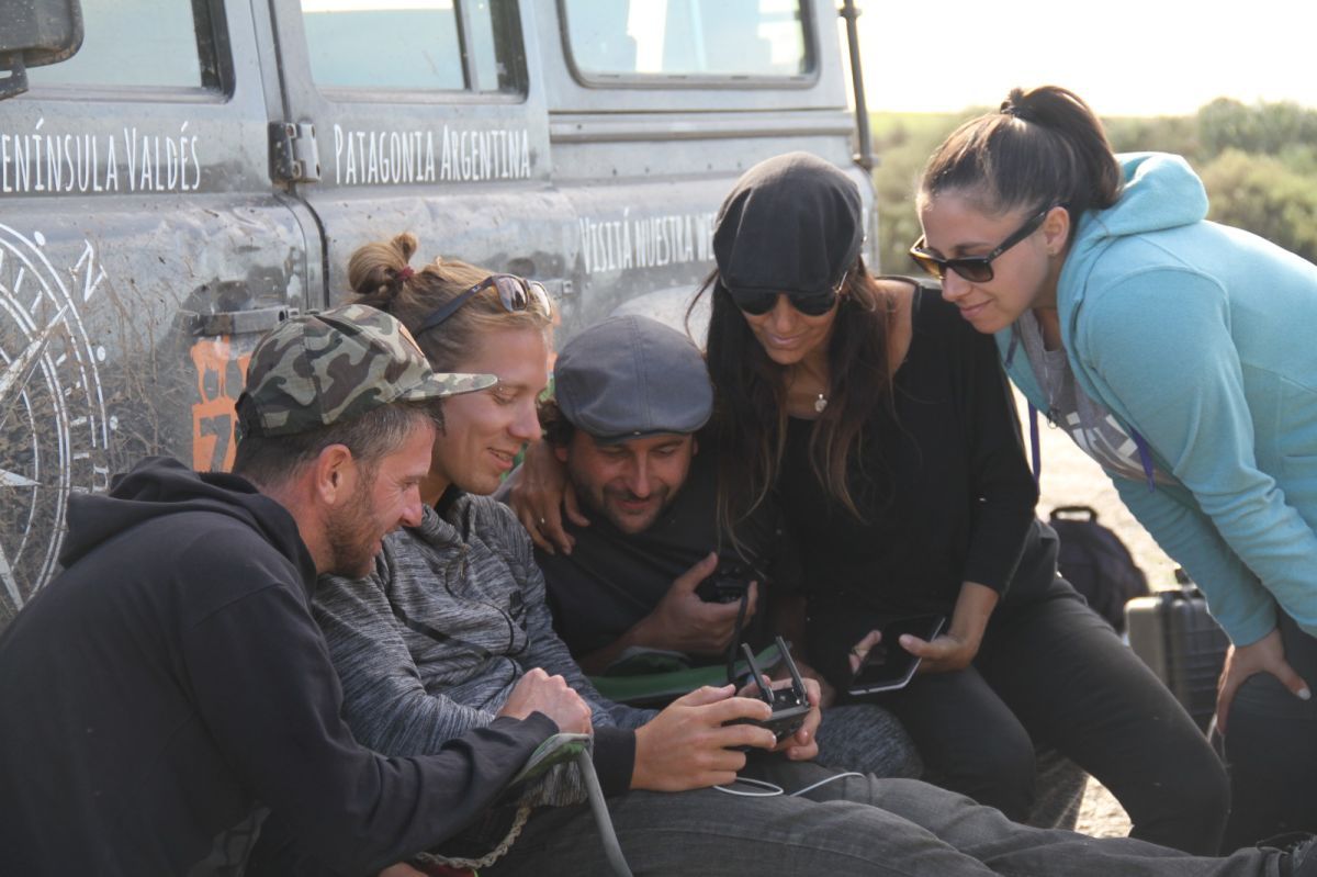 "El señor de los pingüinos": estreno en el Cine Gaumont del documental de Damián Martínez sobre conservación y ciencia